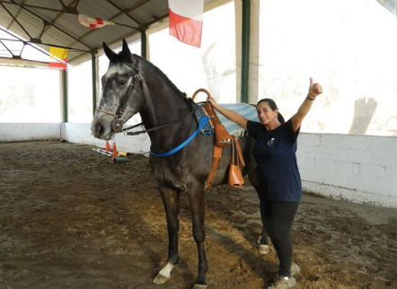 montura para equinoterapia